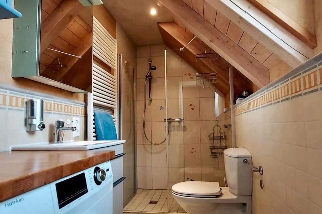 Gemuetliche Auf 2 Etagen Mit Dachterrasse * Wangen im Allgaeu