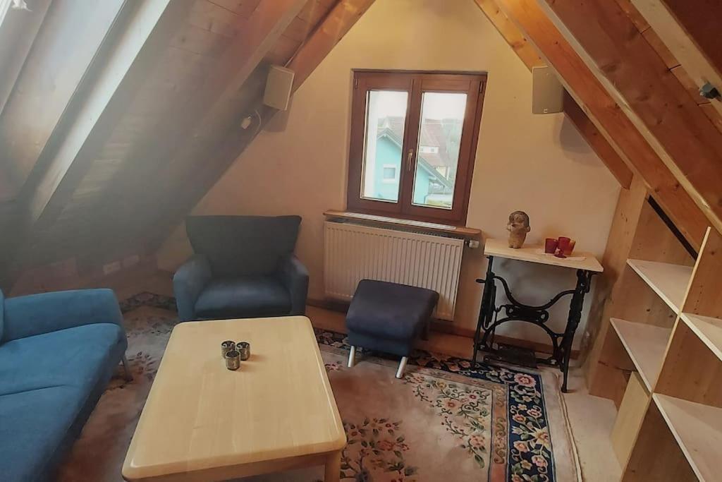 Gemuetliche Auf 2 Etagen Mit Dachterrasse Apartment Wangen im Allgaeu